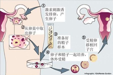 苏雨桐 副主任医师