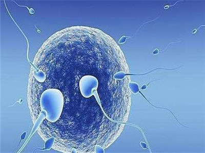 光愈生殖医学中心环境